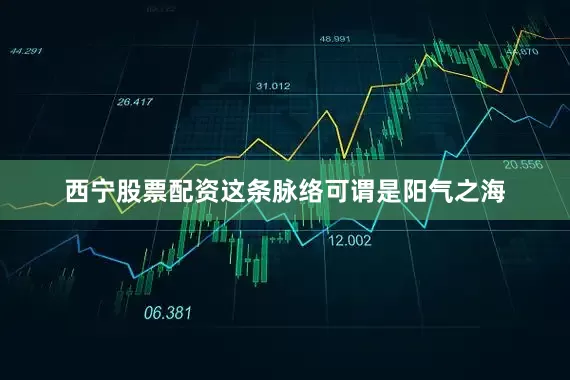 西宁股票配资这条脉络可谓是阳气之海