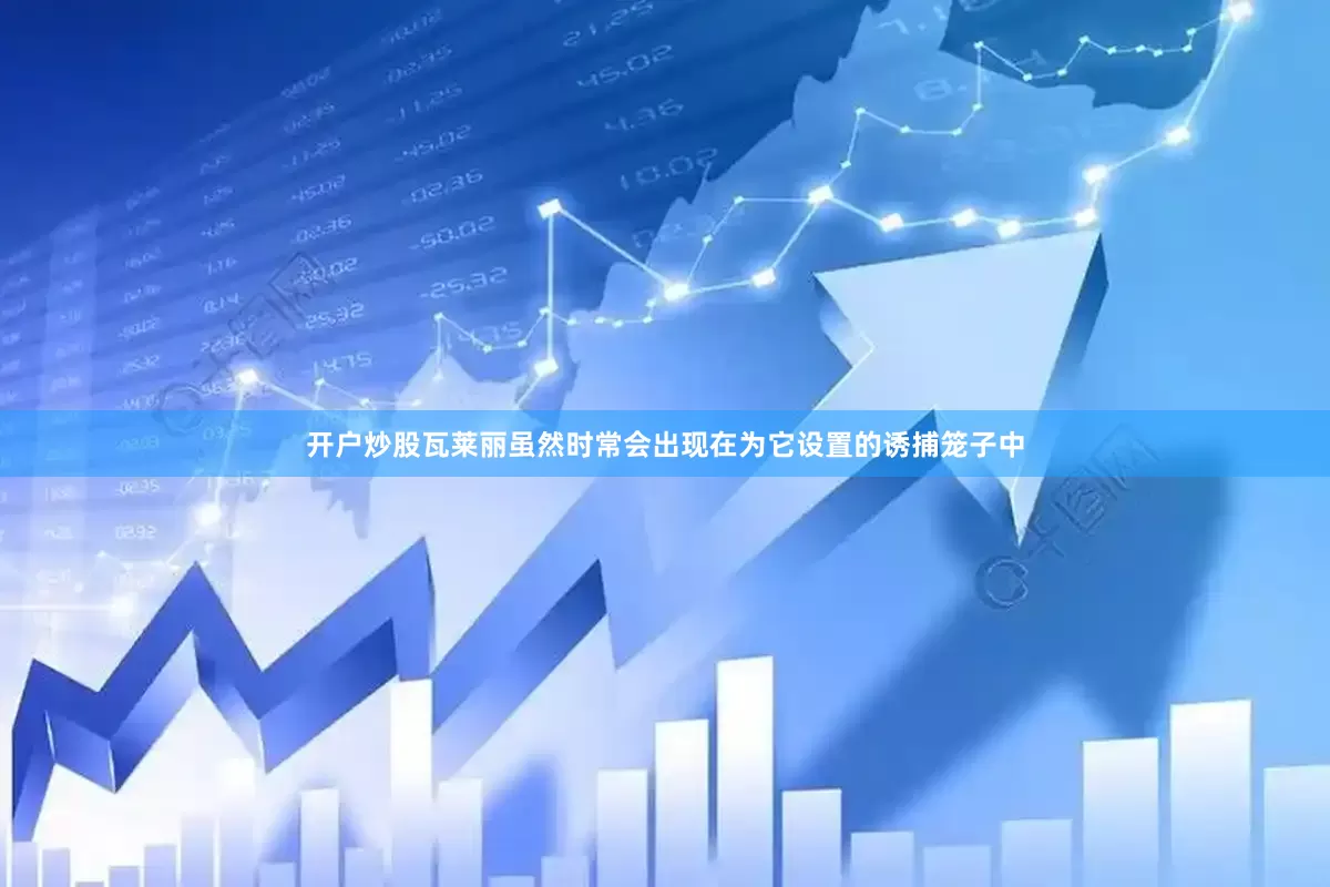 开户炒股瓦莱丽虽然时常会出现在为它设置的诱捕笼子中