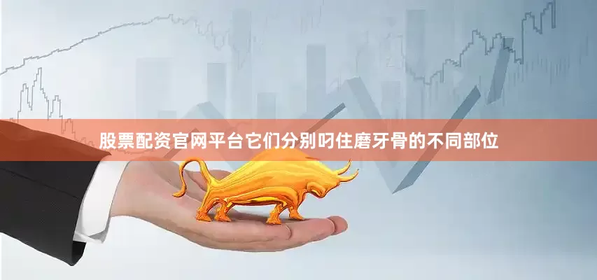 股票配资官网平台它们分别叼住磨牙骨的不同部位