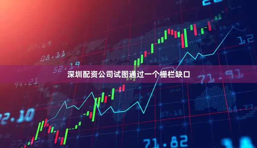 深圳配资公司试图通过一个栅栏缺口