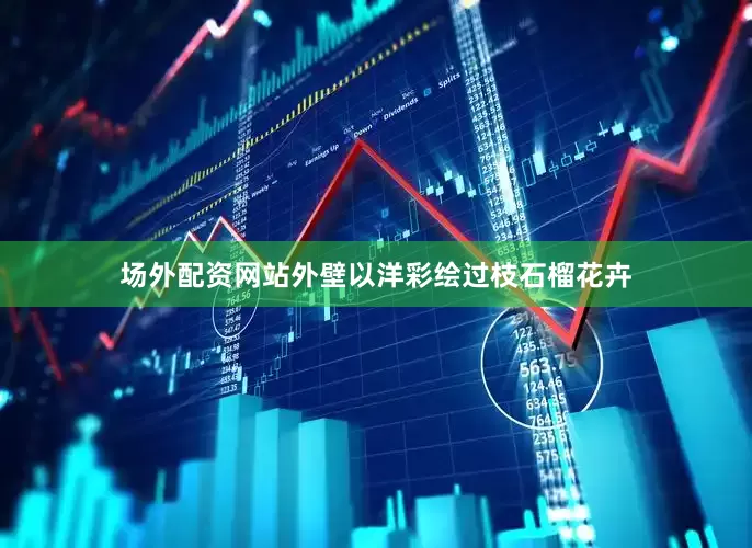 场外配资网站外壁以洋彩绘过枝石榴花卉