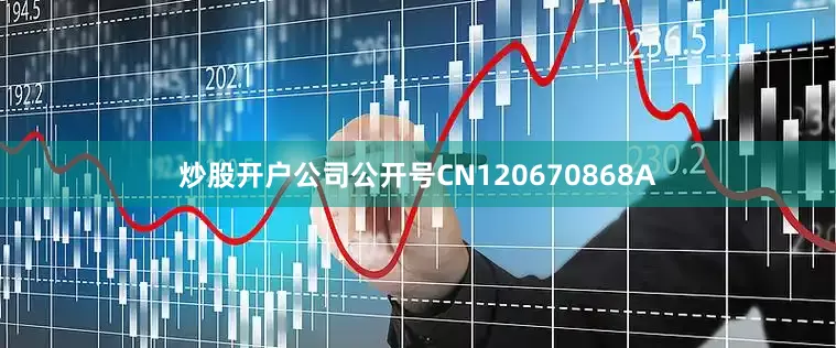 炒股开户公司公开号CN120670868A